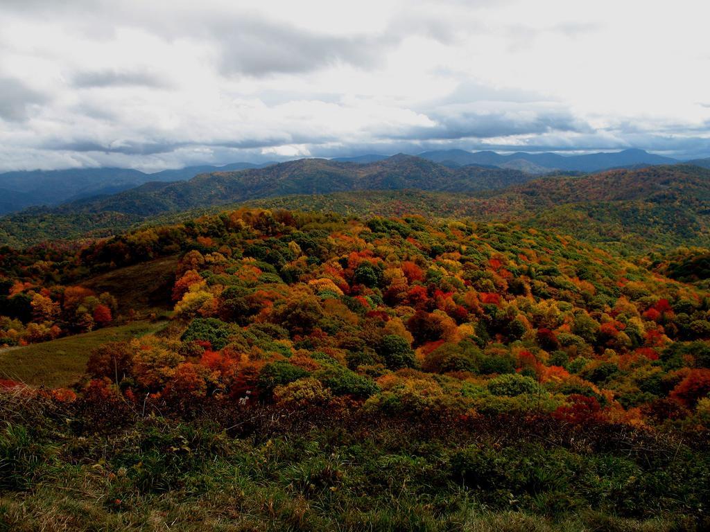 Hampton Inn Asheville - Biltmore Area Экстерьер фото