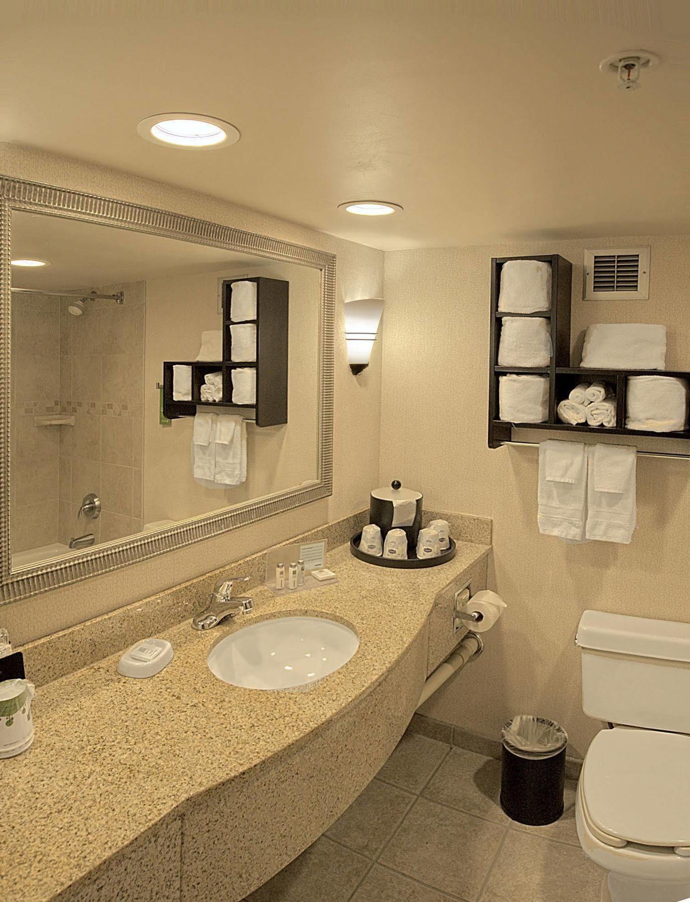 Hampton Inn Asheville - Biltmore Area Номер фото